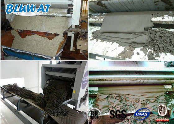 شراء نزح المياه من الحمأة الموجبة بولي أكريلاميد CPAM Blufloc SGS BV مصدق التصنيع عبر الإنترنت
