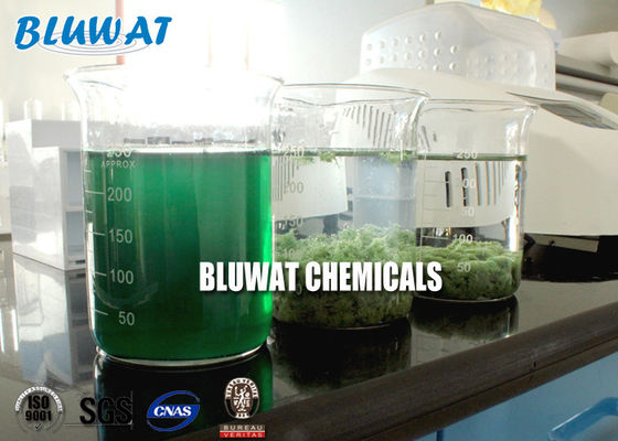 شراء عامل تصفية المياه Decolouring سري لانكا النسيج الصباغة معالجة الألوان السائلة التصنيع عبر الإنترنت