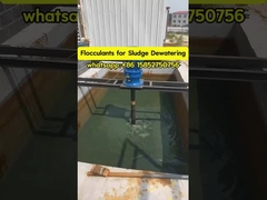 البوليا كريلاميد فلوكولانت البولي إلكتروليت معالجة المياه الطين مكثف و إزالة المياه